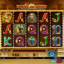 ViciBet - Book of Dead Slot Game - Play Now